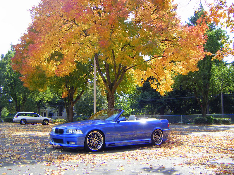 Let me see your lowered verts boys!.......(and girls)