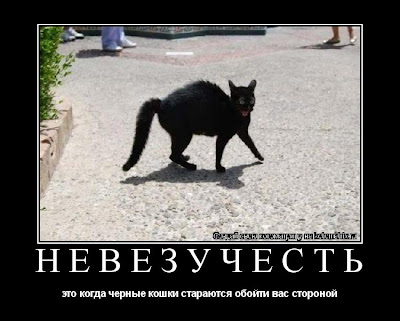 http://lh4.ggpht.com/_V7PBSO8dEH4/TM7WfUhQv8I/AAAAAAAAAEI/kR7kQW1hAdQ/s400/%D0%BD%D0%B5%D0%B2%D0%B5%D0%B7%D1%83%D1%87%D0%B5%D1%81%D1%82%D1%8C.jpg