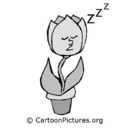 cartoon-flower-sleep