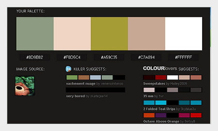 tips pemilihan warna untuk desain grafis menggunakan pictaculous