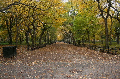 [autumn in NYC[3].jpg]