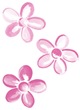 pinkflowers