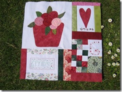 IMG_8282 IMG_8282