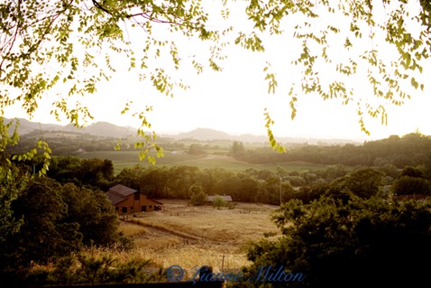 Maacama Ranch, Healdsburg, CA, on Saturday, Sept. 4, 2010