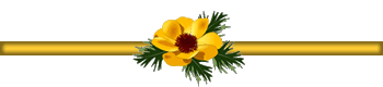 126.png