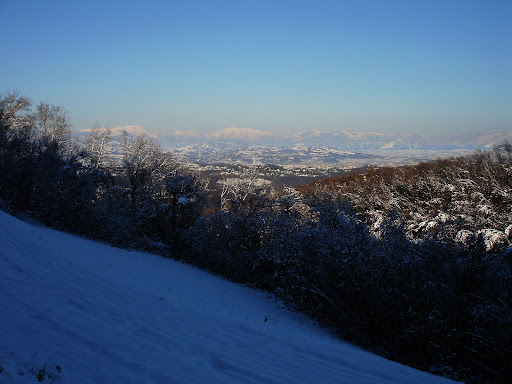 DSC03253.JPG