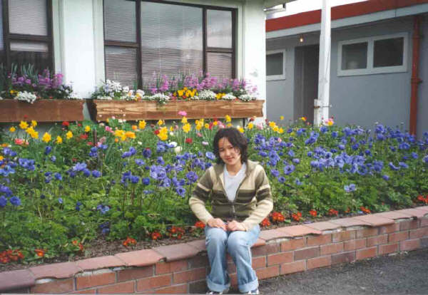 spring in NZ