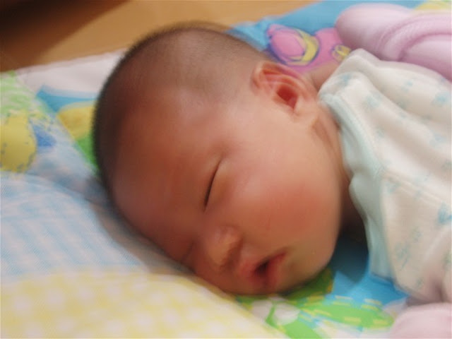 sleeping zzz~~~