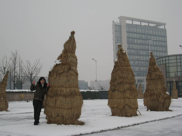 紫竹之雪 - 21