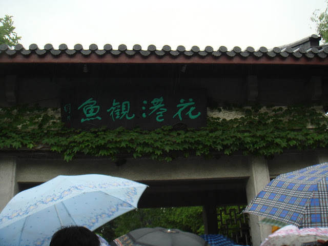 鱼观港花