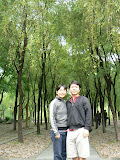 You and me, willow the tree.