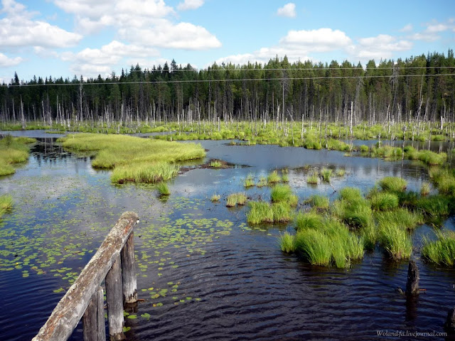 Осударева дорога. Карелия 2010. 