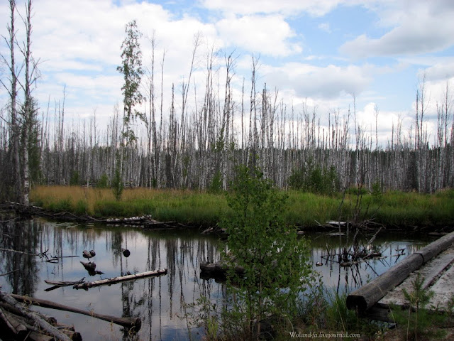 Осударева дорога. Карелия 2010. 