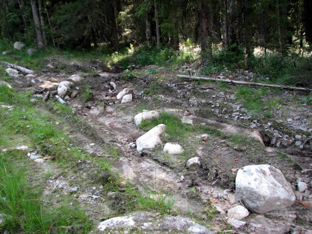 Осударева дорога. Карелия 2010. 