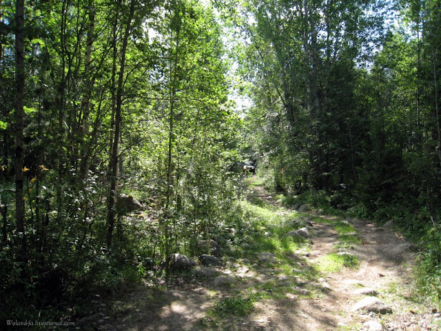 Осударева дорога. Карелия 2010. 