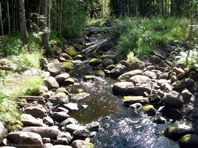 Осударева дорога. Карелия 2010. 