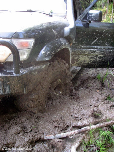 Осударева дорога. Карелия 2010. 