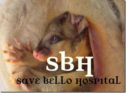 Save Bellingen Hospital