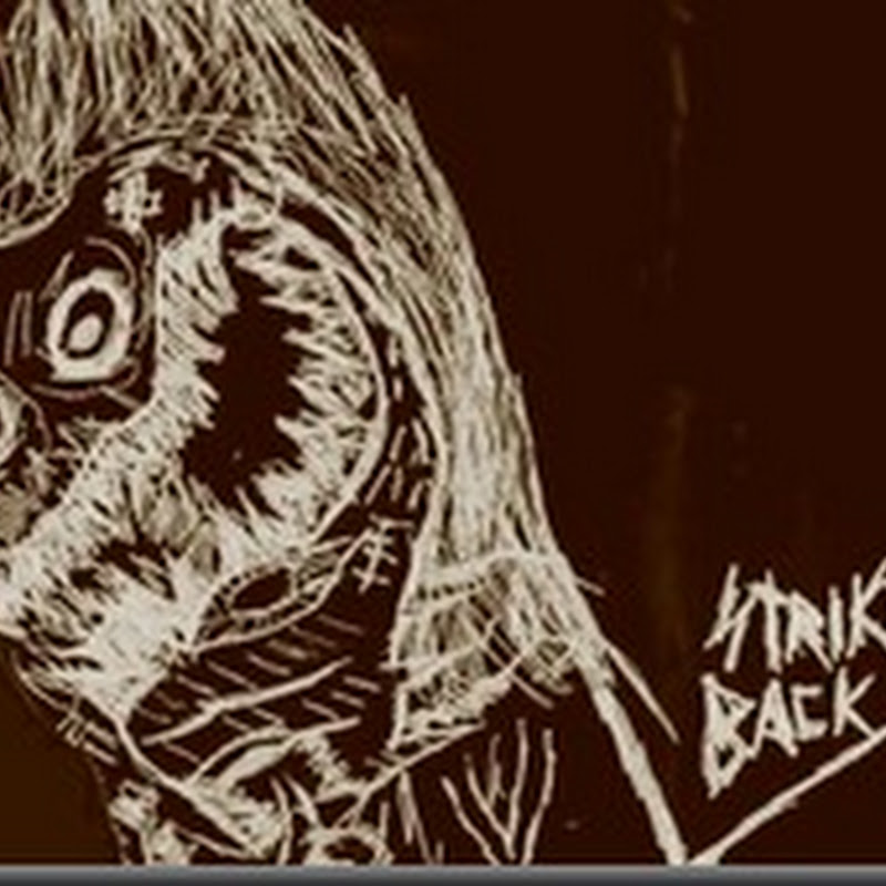 Algo Nuevo: STRIKE BACK