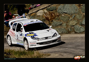 Chentre D'Hèrin Peugeot 206 WRC - Photo by www.rallyfun.net