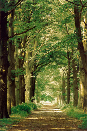 [image221.png]
