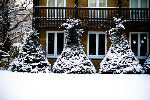 Cambridge Snow-145