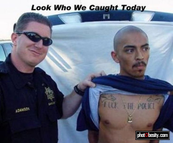Stupid%20Tattoo.jpg