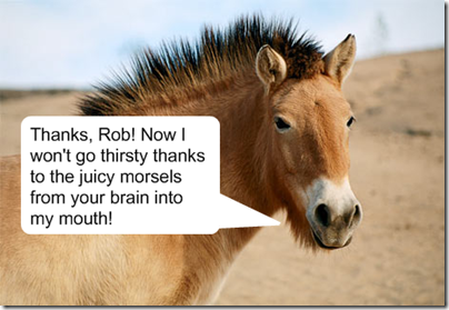 I'm proud to introduce Thankful Horse. Every good blog needs an animal sidekick.