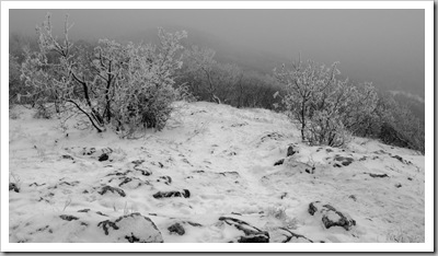 Csipkés lejtő - Újlaki-hegy, 2010. december 30.