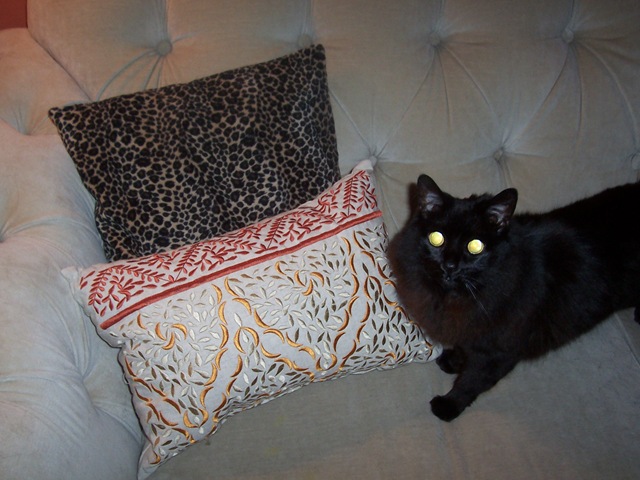 [FallSwap09 008[3].jpg]