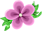 flower%20%28159%29.png
