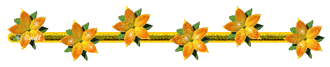 9a.png