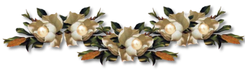 Janalyseparateur2.png