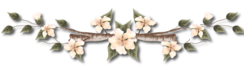 Janalyseparateur5.png