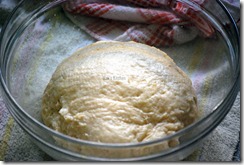 double the size raised dough double the size raised dough