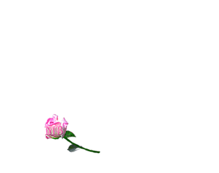 mae_vpl.png