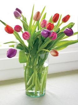 [spring_tulips_15stem[4].jpg]