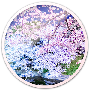 Spring Trees Live Wallpaper LOGO-APP點子