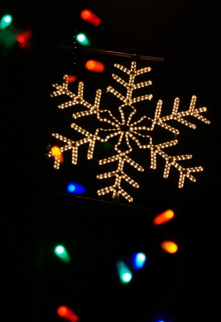 Family Affair Photography Christmas lights