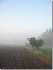 Brouillard le thor 2