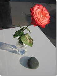 Rose ds vase