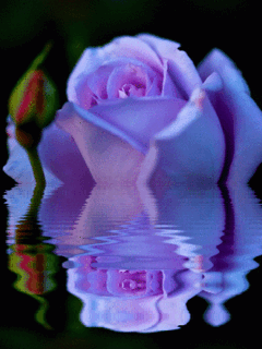0286.png