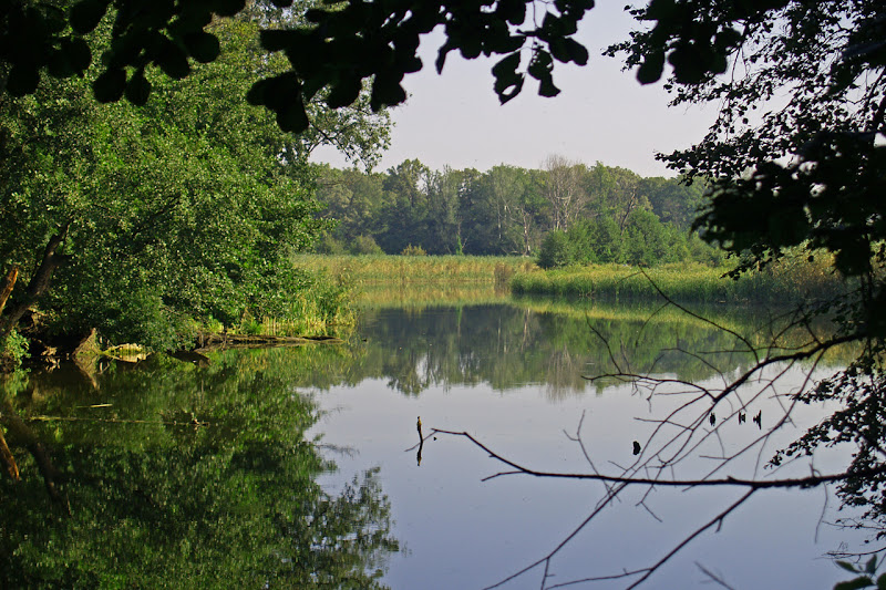 http://lh4.ggpht.com/_X73L35Vn1WQ/SJ9SwF3kZOI/AAAAAAAAAjg/4OevNxaVLeM/s800/P8095209.JPG