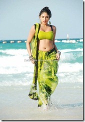 Haripriya Tamil Actress Hot Photos (3)