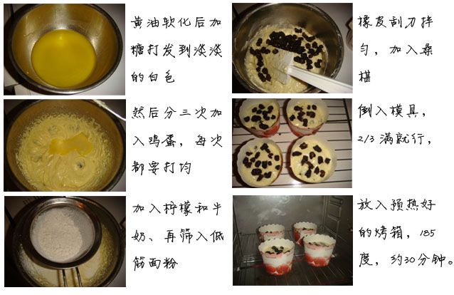 幸运月的桑椹麦芬蛋糕 - jonsk.echo -  