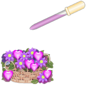 GOTITASAMOR.png
