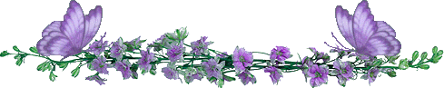 floreslilasborboletas.png