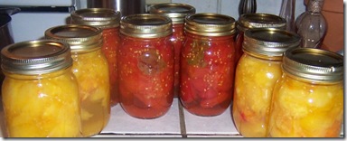 canned tomatoes 001