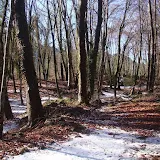 https://goo.gl/photos/svgNSakMMsFq26cZ9