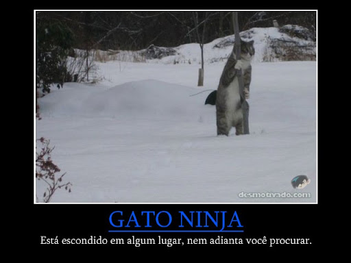 OgAAACfDFjQ9M7vocZvScvRypcd7cUIqAek6uwyp0EkG8CUXJe8Ja8ew7AC3BETgsC5GWBjnECsYsFt1OgPe61cfBLUAm1T1UOx71VLBzAPEdD8kaPEmPAAb9LUU.jpg